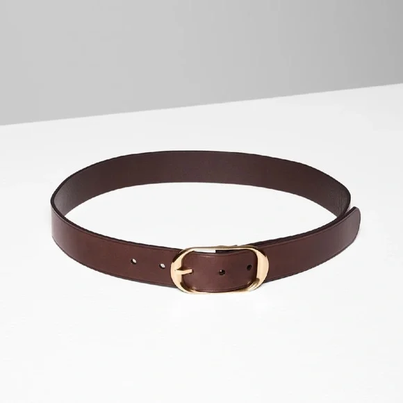 ARITZIA Halo Solid Brass Leather Wide Belt in Color Dark Brown/Gold - NWOT - Picture 5 of 7